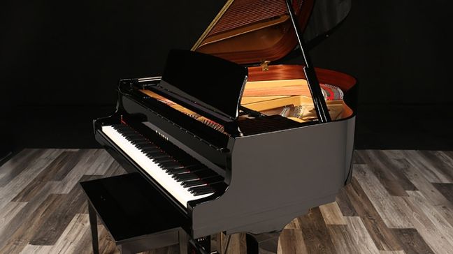 <span>2024</span> Kawai GL-20