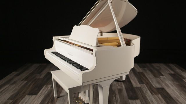 <span>1986</span> Young Chang G-157